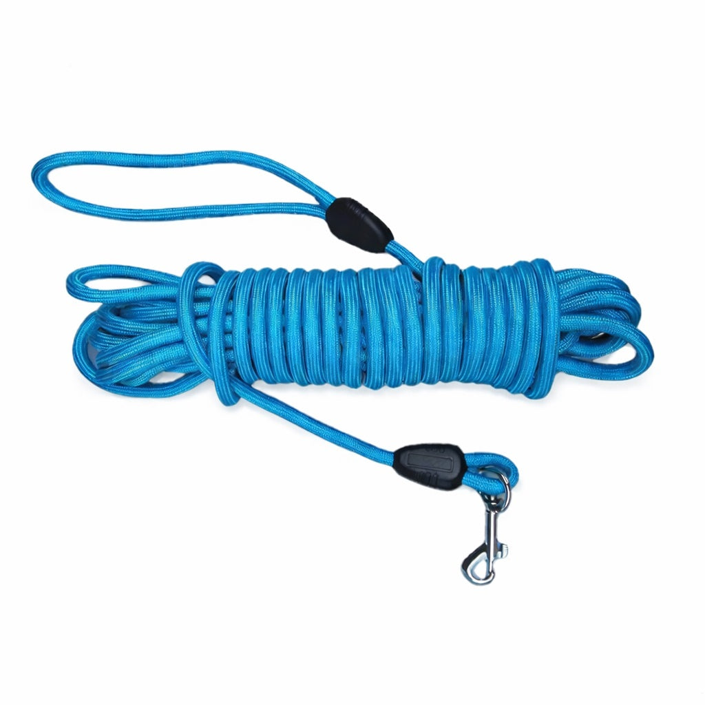 Blaue Hundeleine aus robustem Nylon, mit schwarzem Gummigriff und vernickeltem Karabinerhaken, ideal für Spaziergänge und Training.