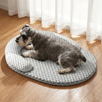Hund liegt entspannt auf dem Kühl-Hundebett mit atmungsaktivem Kühlbezug und ergonomischer Nackenstütze. Kühlender und orthopädischer Liegekomfort für jeden Tag.
