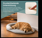 Hund liegt entspannt auf dem Kühl-Hundebett mit druckentlastendem Memory-Schaum und ergonomischer Nackenstütze. Atmungsaktives, orthopädisches Hundebett für erholsamen Schlaf und optimale Gelenkentlastung.