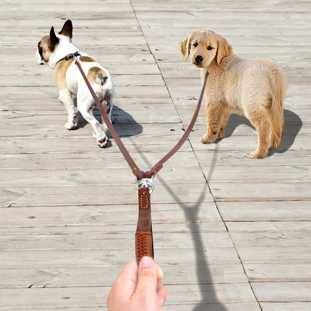 Eine Hand hält Lederkoppler in Cognac – Französische Bulldogge und Golden Retriever Welpe laufen gemeinsam an der Doppelleine – Hund & Heim
