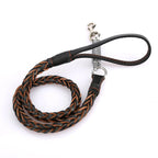 Schwarze geflochtene Hundeleine mit Cognac-Akzenten, gepolsterter Handschlaufe, stabilem Karabiner und integriertem Federdämpfer für komfortable Spaziergänge.