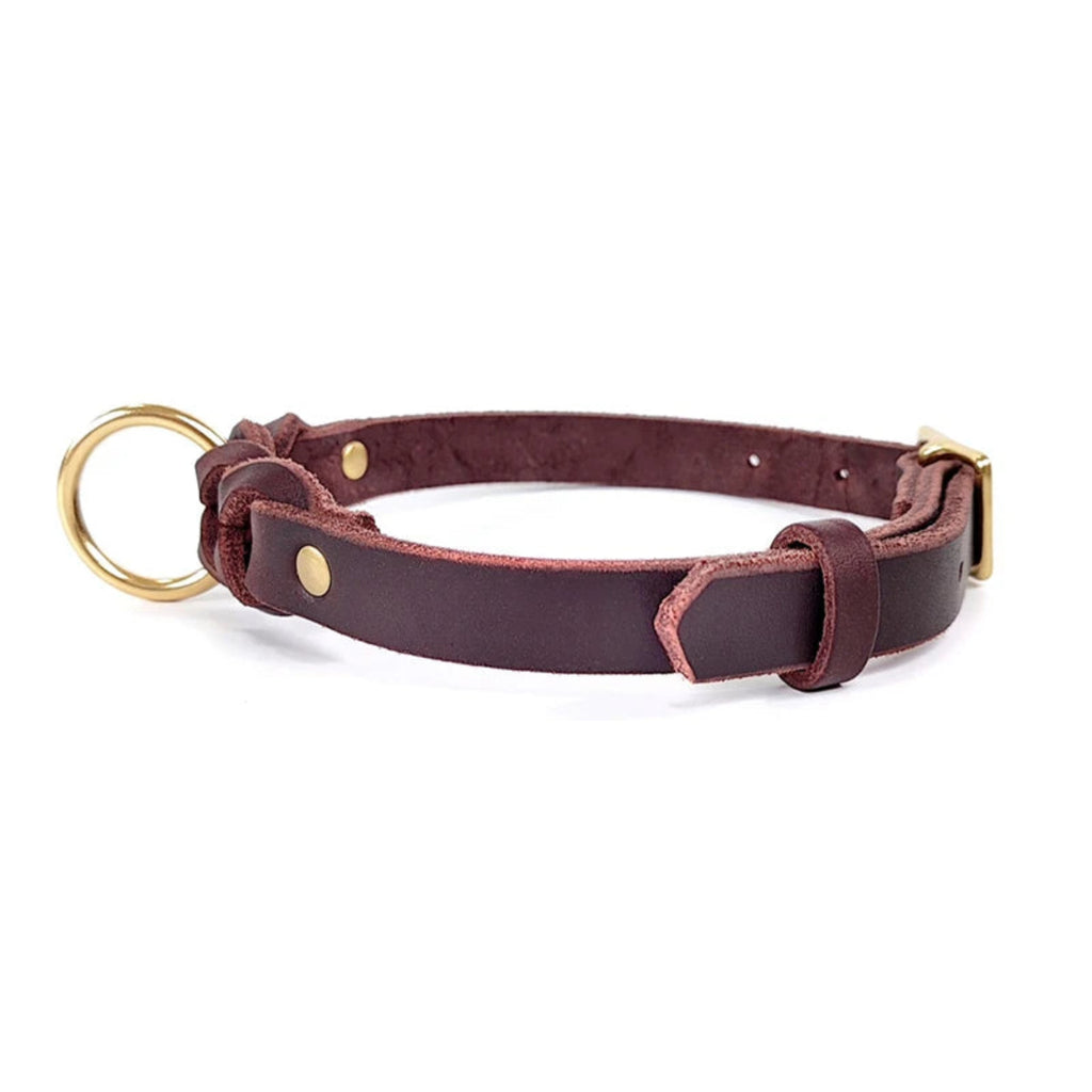 Geflochtenes Hundehalsband aus echtem Rindleder in Cognac mit goldenen Nieten und O-Ring – Seitenansicht – Hund & Heim