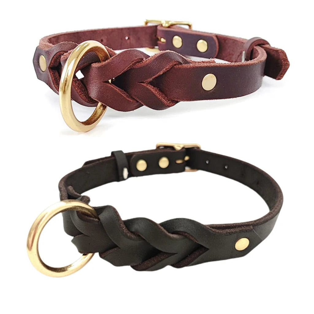 Geflochtenes Lederhalsband für Hunde in Cognac und Schwarz mit goldenen Metallbeschlägen – Hund & Heim