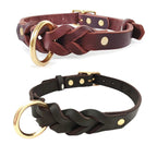 Geflochtenes Lederhalsband für Hunde in Cognac und Schwarz mit goldenen Metallbeschlägen – Hund & Heim
