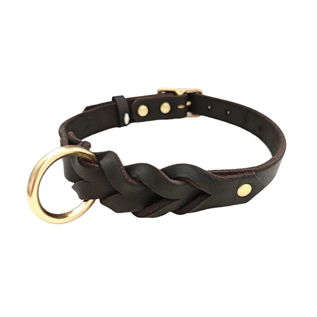 Geflochtenes Hundehalsband aus echtem Rindleder in Schwarz mit goldenem O-Ring und Metallschnalle – Gesamtansicht – Hund & Heim