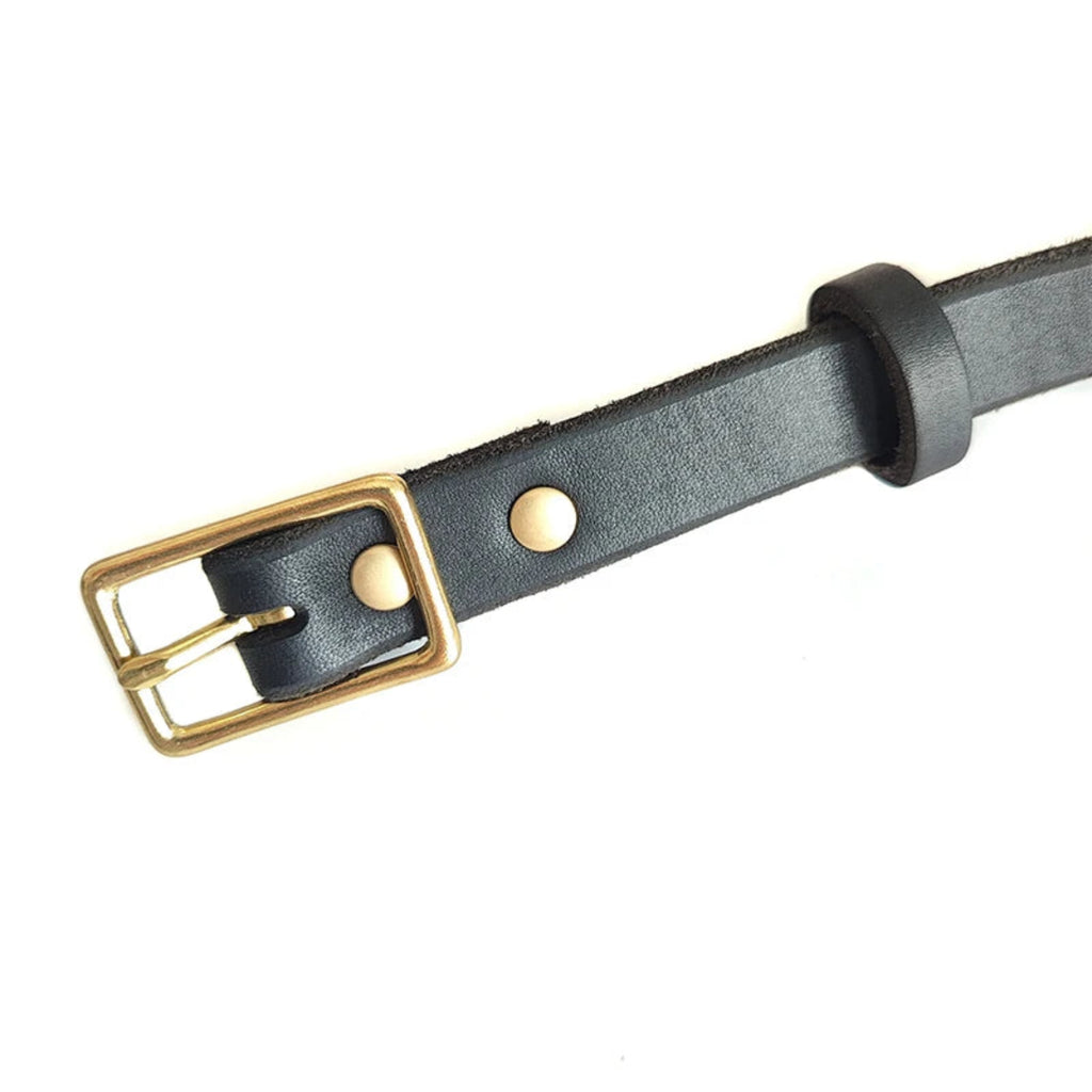 Detailansicht der goldenen Metallschnalle am schwarzen Lederhalsband für Hunde – robust & verstellbar – Hund & Heim