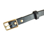 Detailansicht der goldenen Metallschnalle am schwarzen Lederhalsband für Hunde – robust & verstellbar – Hund & Heim