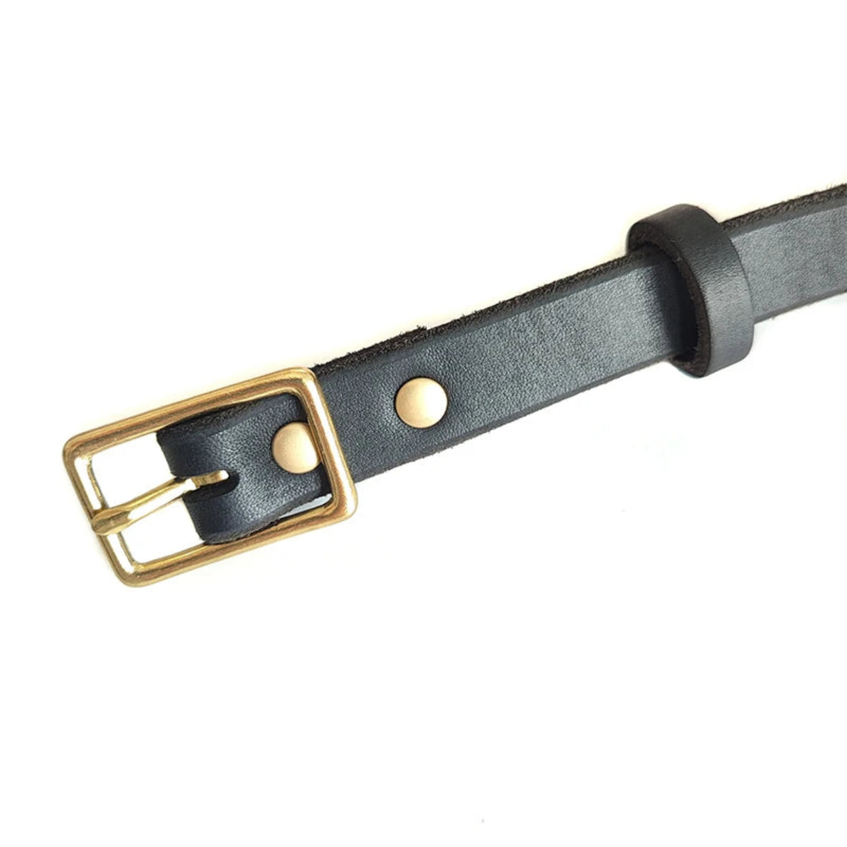 Detailansicht der goldenen Metallschnalle am schwarzen Lederhalsband für Hunde – robust & verstellbar – Hund & Heim