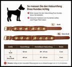 Größentabelle Nieten-Lederhalsband: Größe L (52 cm, Halsumfang 40–47 cm, Breite 5 cm) und XL (60 cm, Halsumfang 47–55 cm, Breite 5 cm)