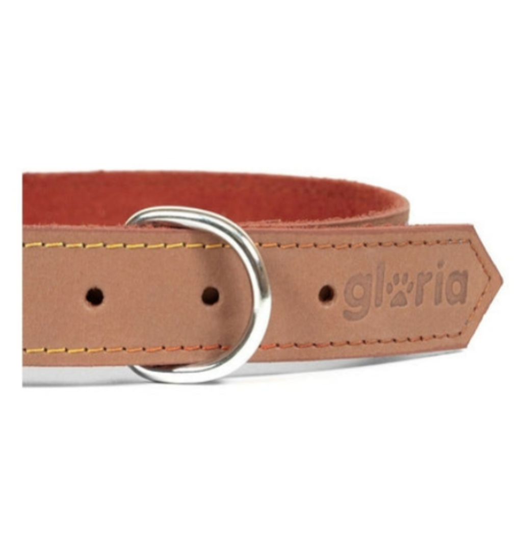 Hundehalsband Braun Leder XL – D-Ring und Gloria-Prägung Nahaufnahme – Hund & Heim