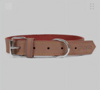 Hundehalsband Braun Leder XL – Frontansicht – Hund & Heim