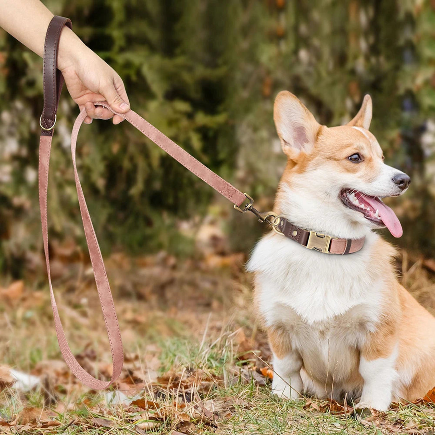 Hund mit rosa Komfort Hundeleine in Lederoptik beim Spaziergang im Freien