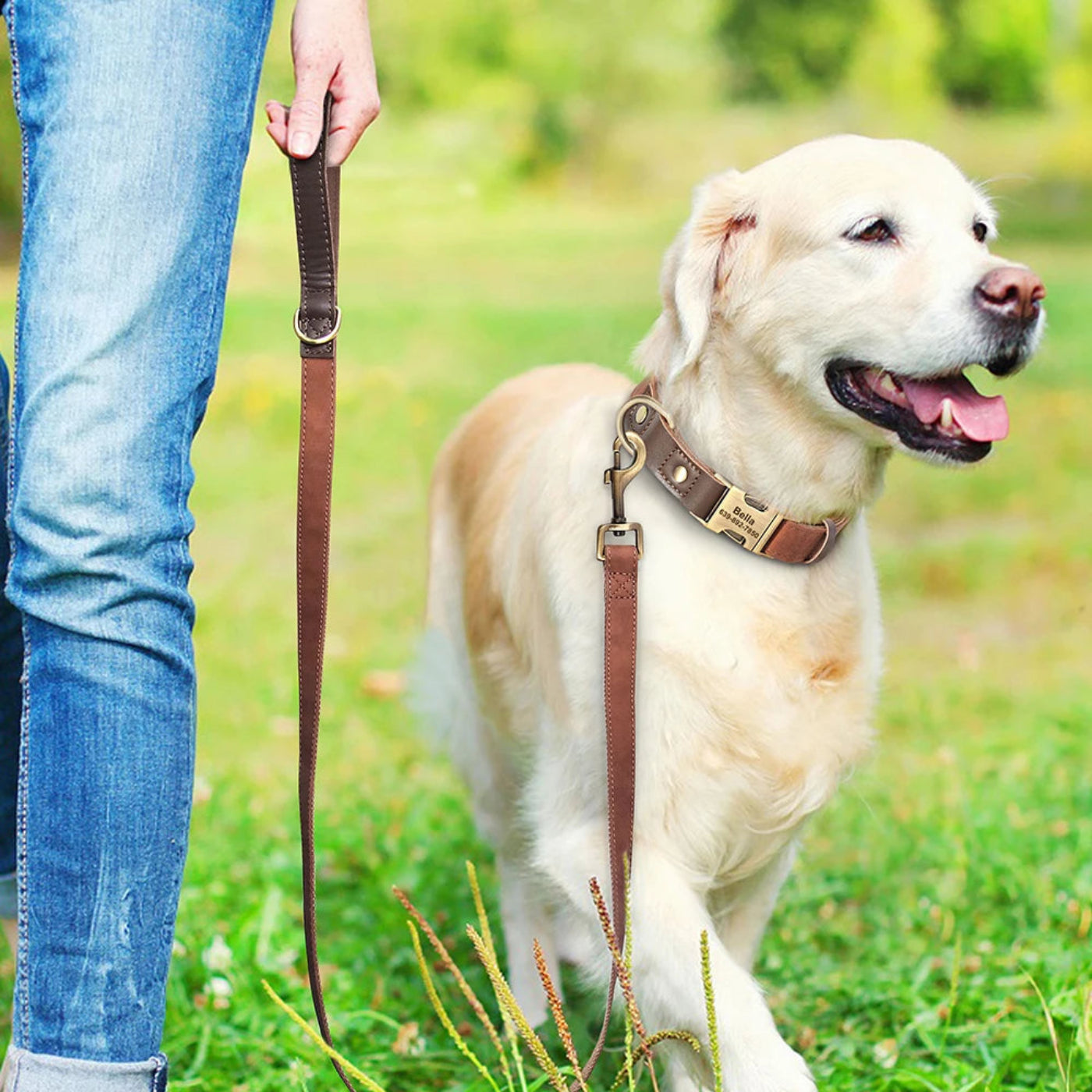 Hund mit brauner Komfort Hundeleine in Lederoptik beim Spaziergang in der Natur
