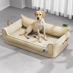 Labrador sitzt in orthopädischem Leder-Hundebett Sofa in Beige mit erhöhtem Rand und Leder-Griffen – Hund & Heim
