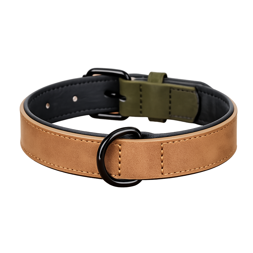 Gepolstertes Lederhalsband in Camel für Hunde – mit robustem D-Ring und verstellbarer Metallschnalle | Hund & Heim
