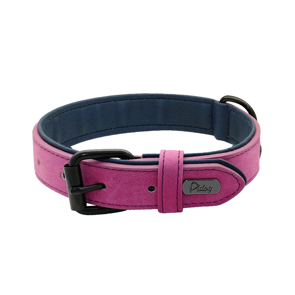 Gepolstertes Lederhalsband in Pink für Hunde – mit verstellbarer Metallschnalle und weicher Innenpolsterung | Hund & Heim
