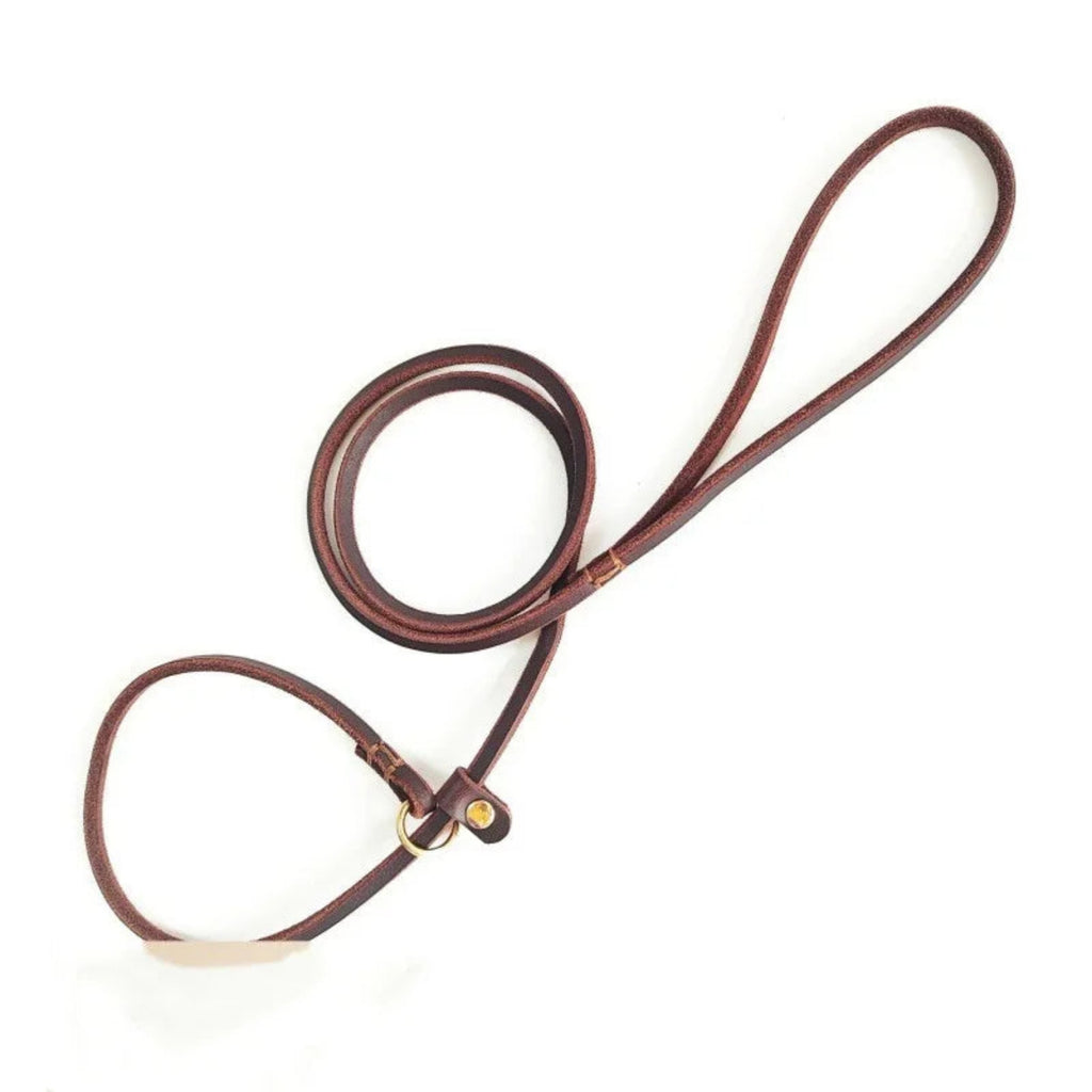 Braune Lederleine als Schlupfhalsband aus echtem Rindleder, verstellbar, mit Messingring – Hund & Heim