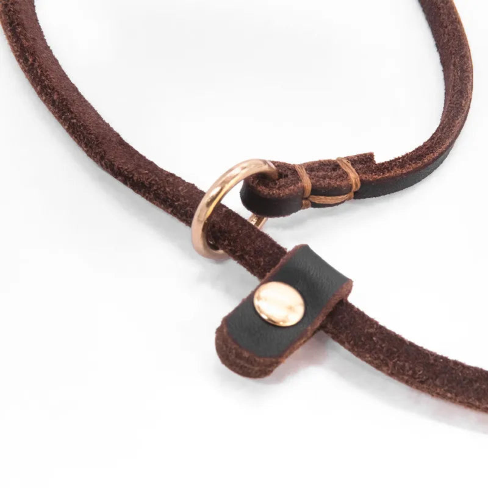 Detailaufnahme der braunen Lederleine mit goldenem Messingring und Leder-Stopper – hochwertige Verarbeitung – Hund & Heim