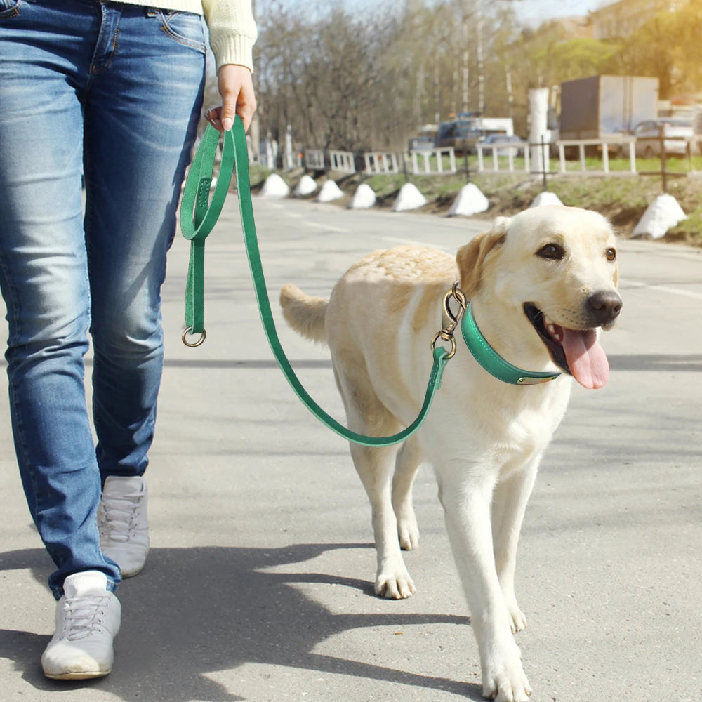 Labrador beim Spaziergang an echter Lederleine in Waldgrün – Hundeleine für große Hunde – Hund & Heim