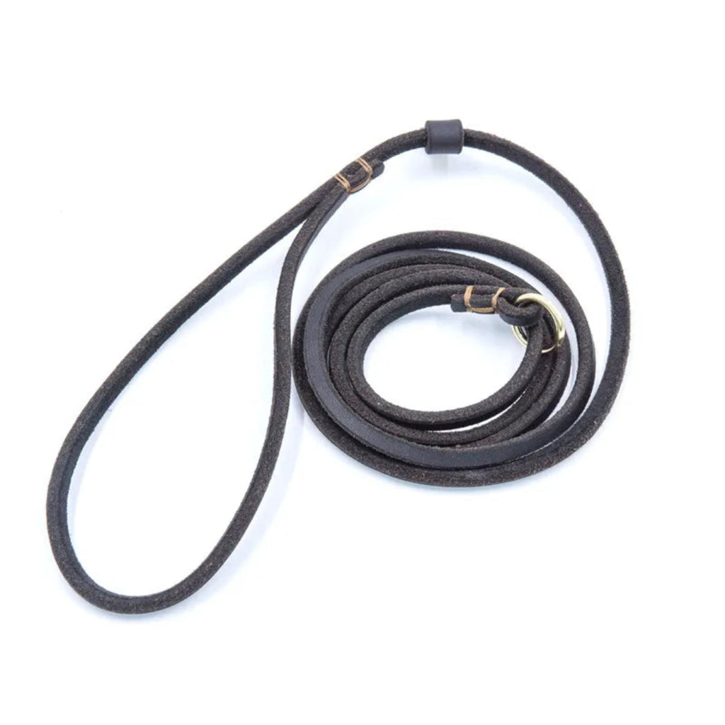 Schwarze Lederleine als Schlupfhalsband aus echtem Rindleder, aufgerollt, mit Metallring – Hund & Heim