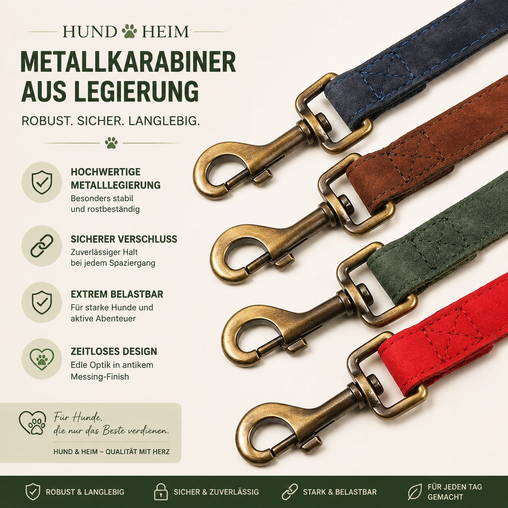 Hund & Heim Komfort Hundeleine – Elegant, weich & sicher für tägliche Spaziergänge