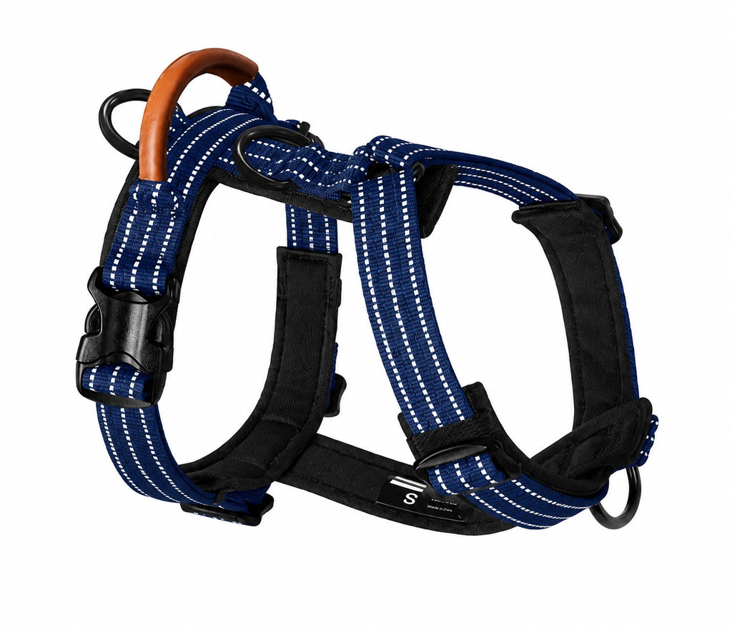 Marienblau reflektierendes Hundegeschirr mit gepolsterten Bereichen, verstellbaren Gurten und robustem Design für große Hunde. Das Outdoor Hundegeschirr bietet Komfort, Sicherheit und eine optimale Passform.