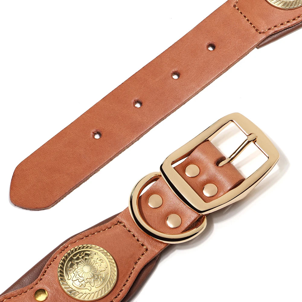 Nahaufnahme der goldenen Metallschnalle und D-Ring am Nieten-Lederhalsband Cognac – robuste Verarbeitung aus echtem Rindleder