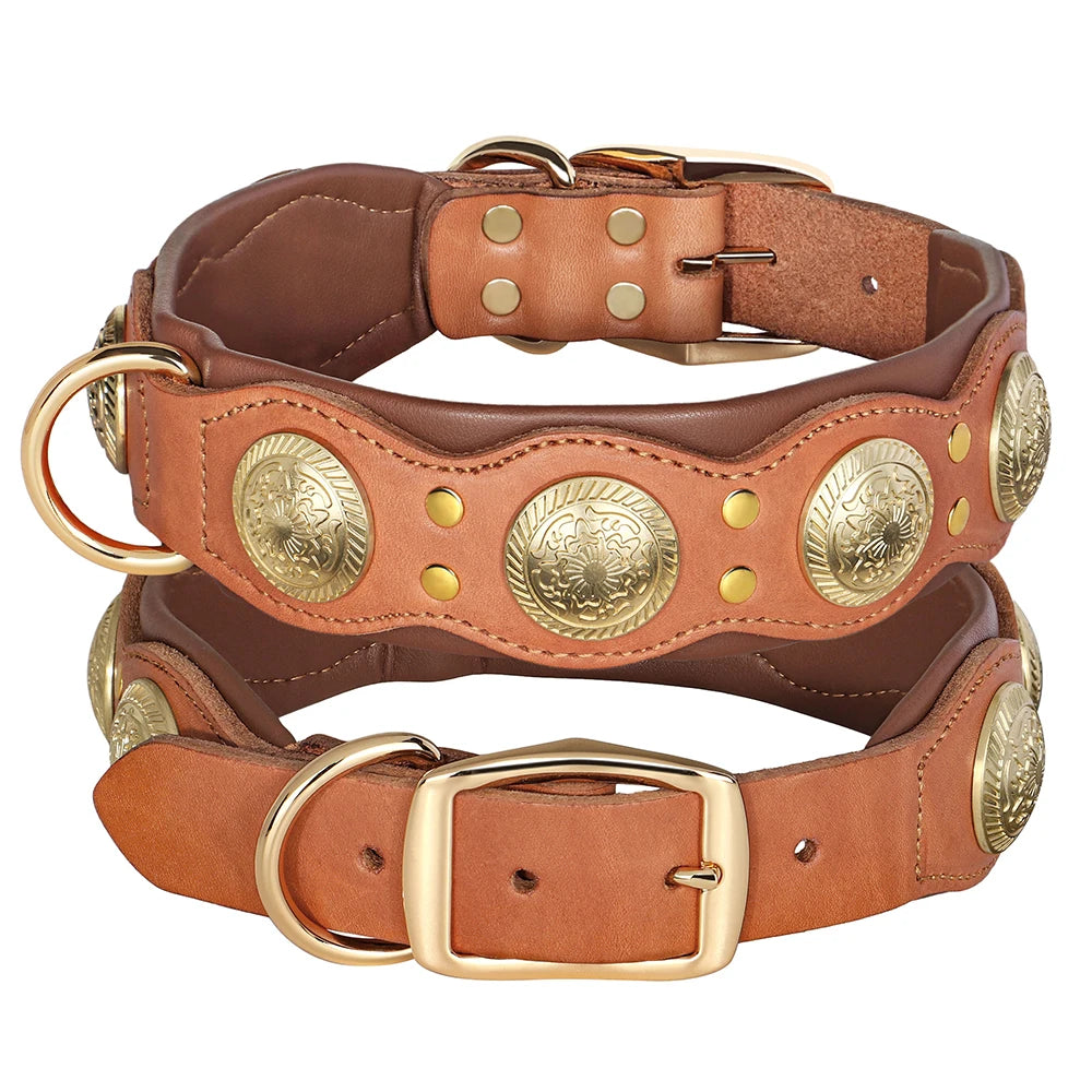 Nieten-Lederhalsband aus echtem Rindleder in Cognac mit goldenen Metallnieten und Schnalle – Größen L und XL für große Hunde