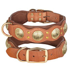 Nieten-Lederhalsband aus echtem Rindleder in Cognac mit goldenen Metallnieten und Schnalle – Größen L und XL für große Hunde