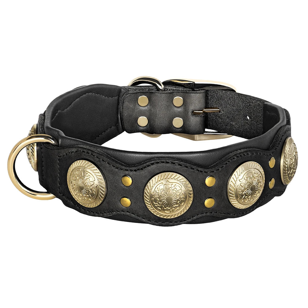 Nieten-Lederhalsband aus echtem Rindleder in Schwarz – Detailansicht mit goldenen Medaillon-Nieten, D-Ring und Metallschnalle