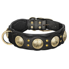 Nieten-Lederhalsband aus echtem Rindleder in Schwarz – Detailansicht mit goldenen Medaillon-Nieten, D-Ring und Metallschnalle