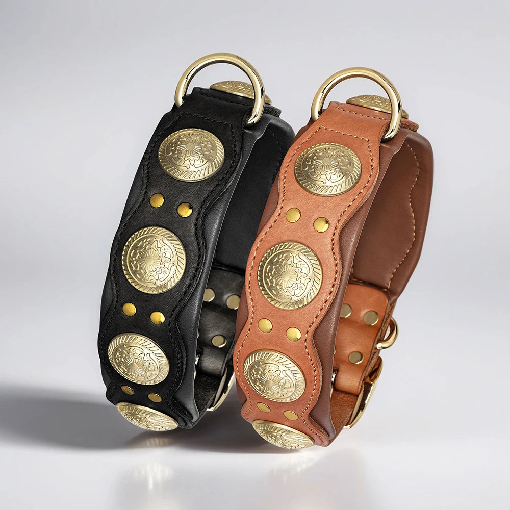 Nieten-Lederhalsband aus echtem Rindleder in Schwarz und Cognac nebeneinander – goldene Metallnieten und D-Ring für große Hunde