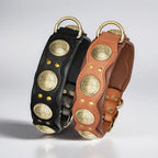 Nieten-Lederhalsband aus echtem Rindleder in Schwarz und Cognac nebeneinander – goldene Metallnieten und D-Ring für große Hunde