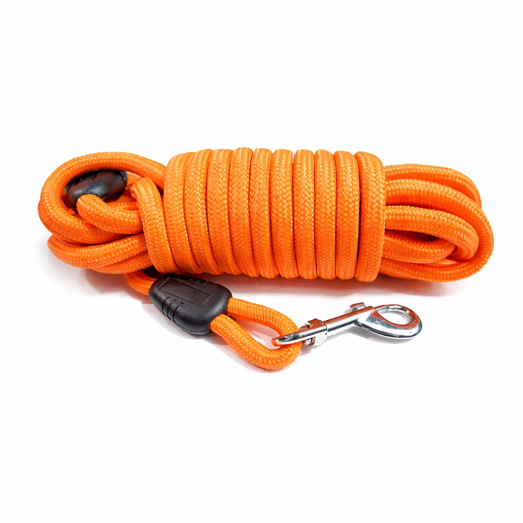 Orangefarbene Hundeleine aus strapazierfähigem Nylon, mit schwarzem Gummigriff und vernickeltem Karabinerhaken, ideal für Spaziergänge und Training.