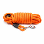 Orangefarbene Hundeleine aus strapazierfähigem Nylon, mit schwarzem Gummigriff und vernickeltem Karabinerhaken, ideal für Spaziergänge und Training.