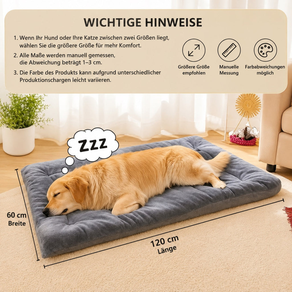 Größenansicht des Premium Plüsch-Hundebetts in Graphitgrau (120 × 60 cm) mit schlafendem Hund zur Veranschaulichung der Liegefläche.