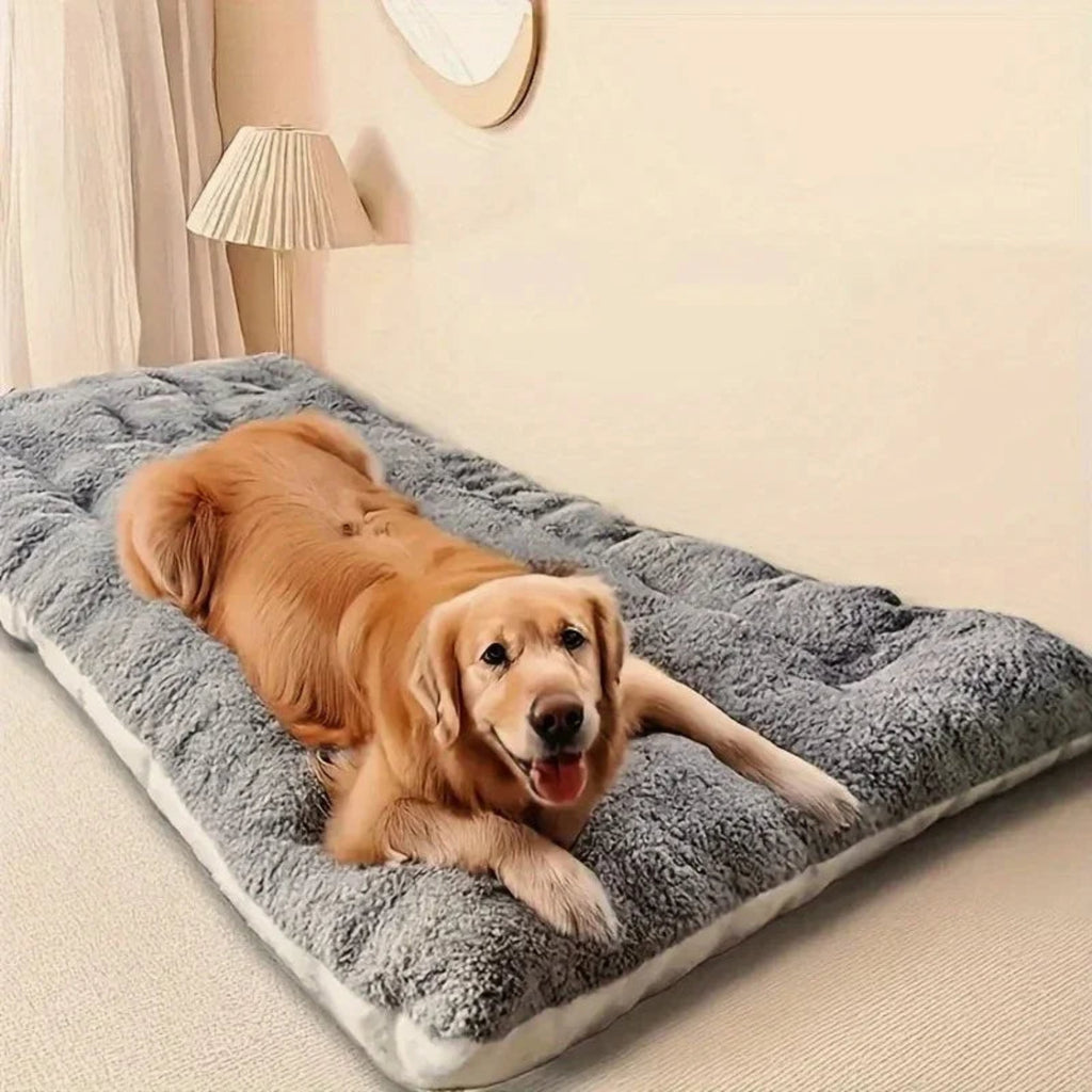 Großer Hund liegt entspannt auf einem weichen Premium Plüsch-Hundebett in Graphitgrau (120 × 60 cm) von Hund & Heim.