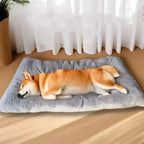 Schlafender Hund auf einem weichen Premium Plüsch-Hundebett in Graphitgrau (120 × 60 cm). Kuschelige und komfortable Liegefläche von Hund & Heim.