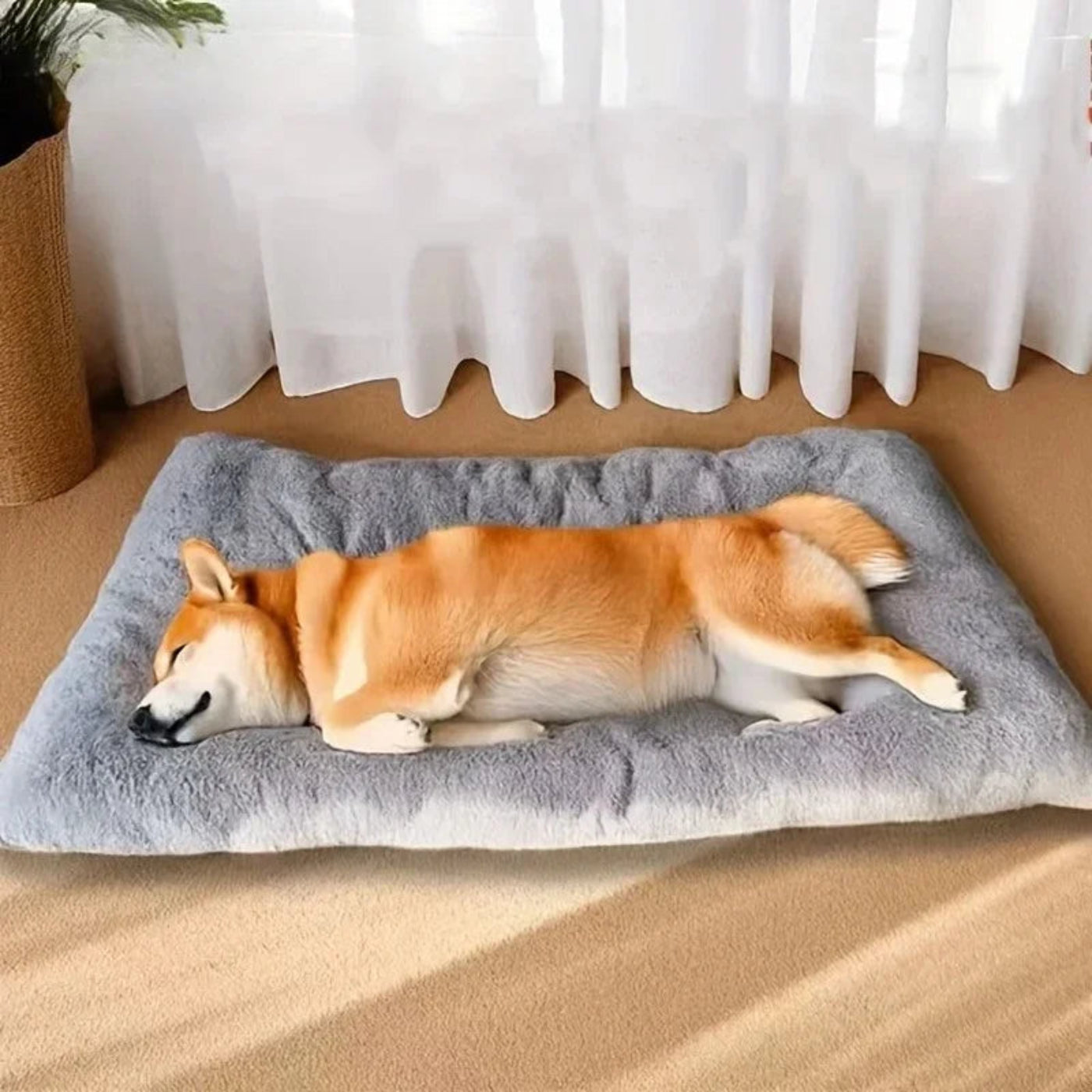 Schlafender Hund auf einem weichen Premium Plüsch-Hundebett in Graphitgrau (120 × 60 cm). Kuschelige und komfortable Liegefläche von Hund & Heim.