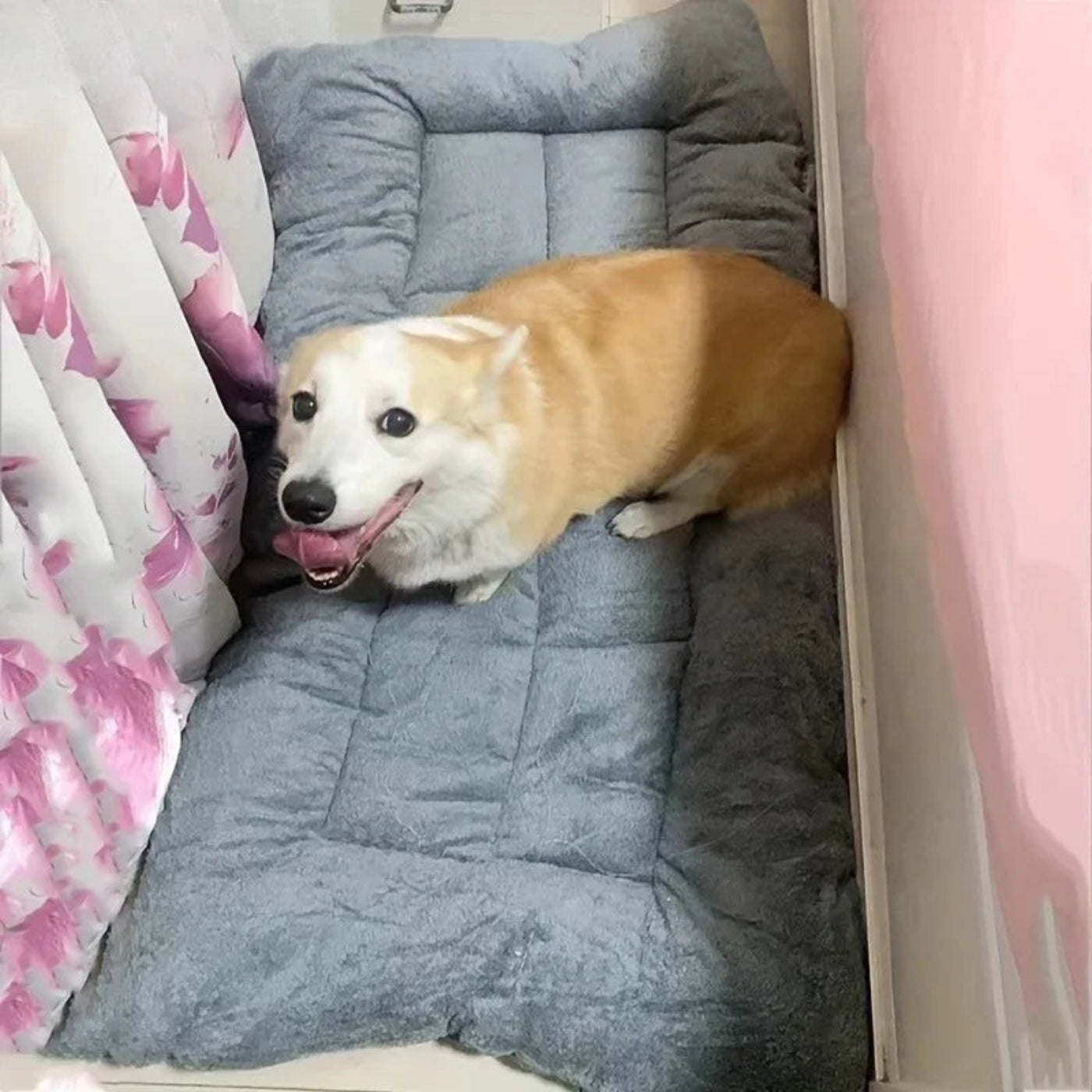 Premium Hundebett 120 × 60 cm – Flauschige Hundematte für große Hunde | Hund & Heim