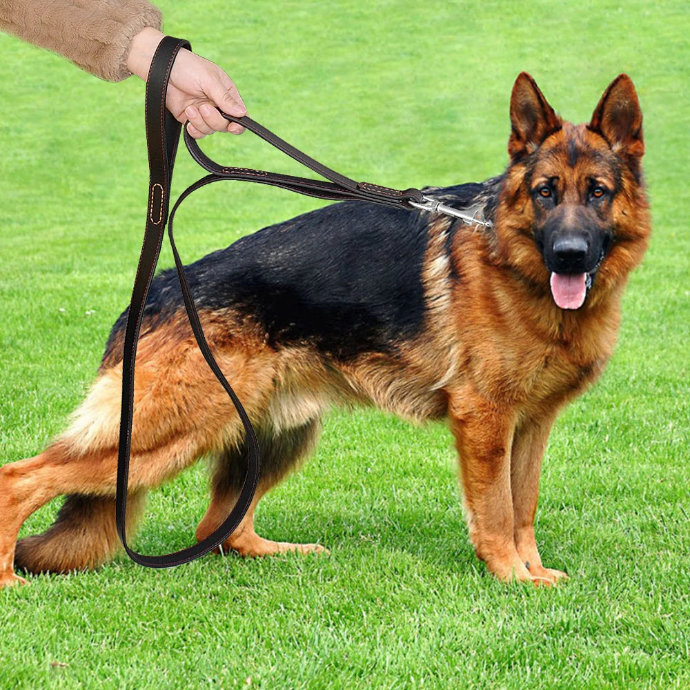 Hund & Heim Premium Leder-Hundeleine 175 cm – 2 Griffe