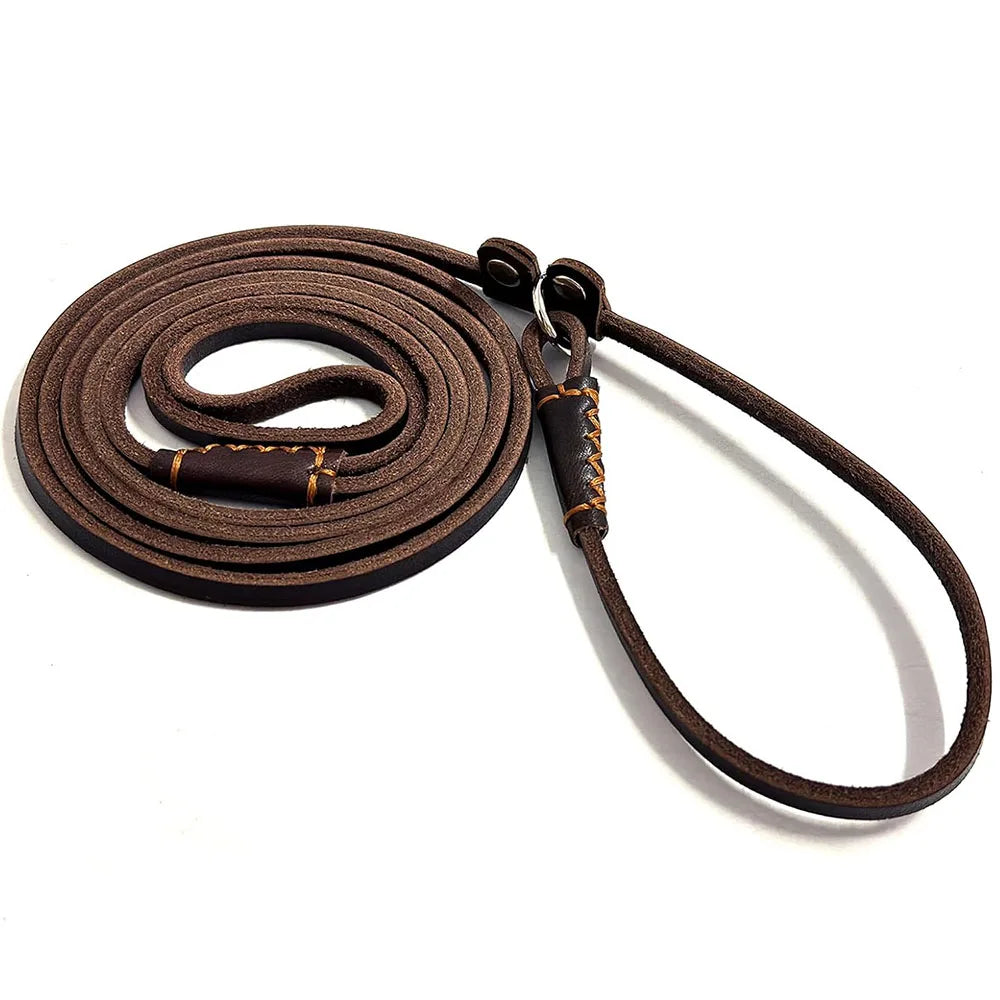 Slip Lead Leine aus braunem Leder freistehend – Handschlaufe und Schlupfhalsband aus einem Stück, 150cm, für kleine & mittlere Hunde – Hund & Heim
