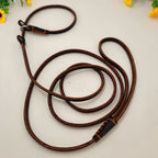 Slip Lead Leine aus braunem Leder, aufgerollt auf weißem Untergrund – Leine und Halsband in einem, 150cm lang – Hund & Heim