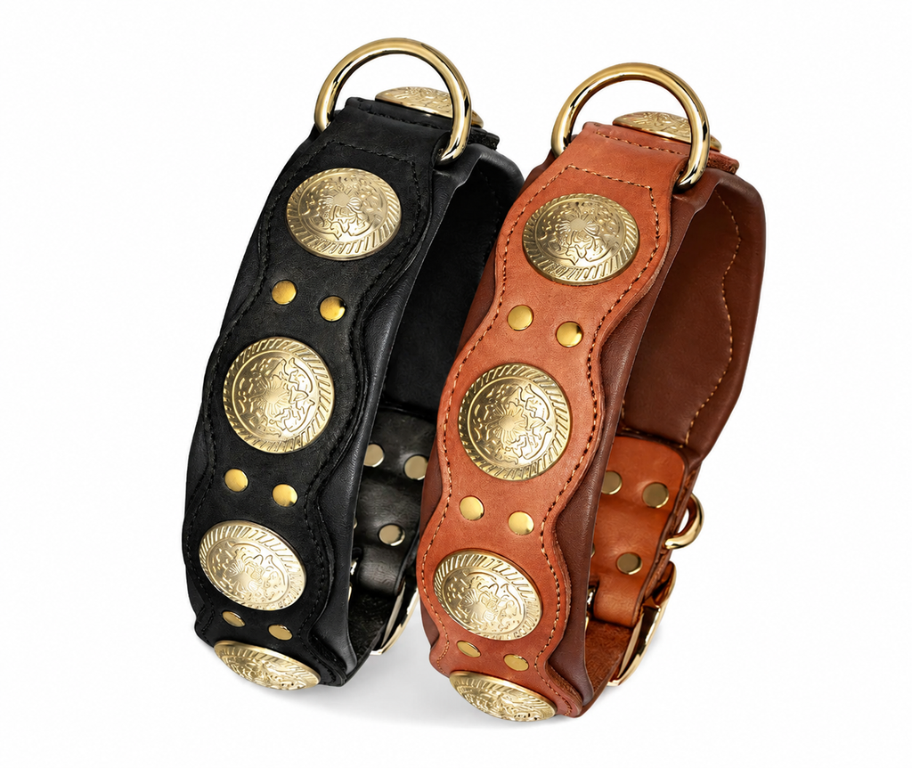 Das Nieten-Lederhalsband – Stark. Breit. Unverwechselbar.