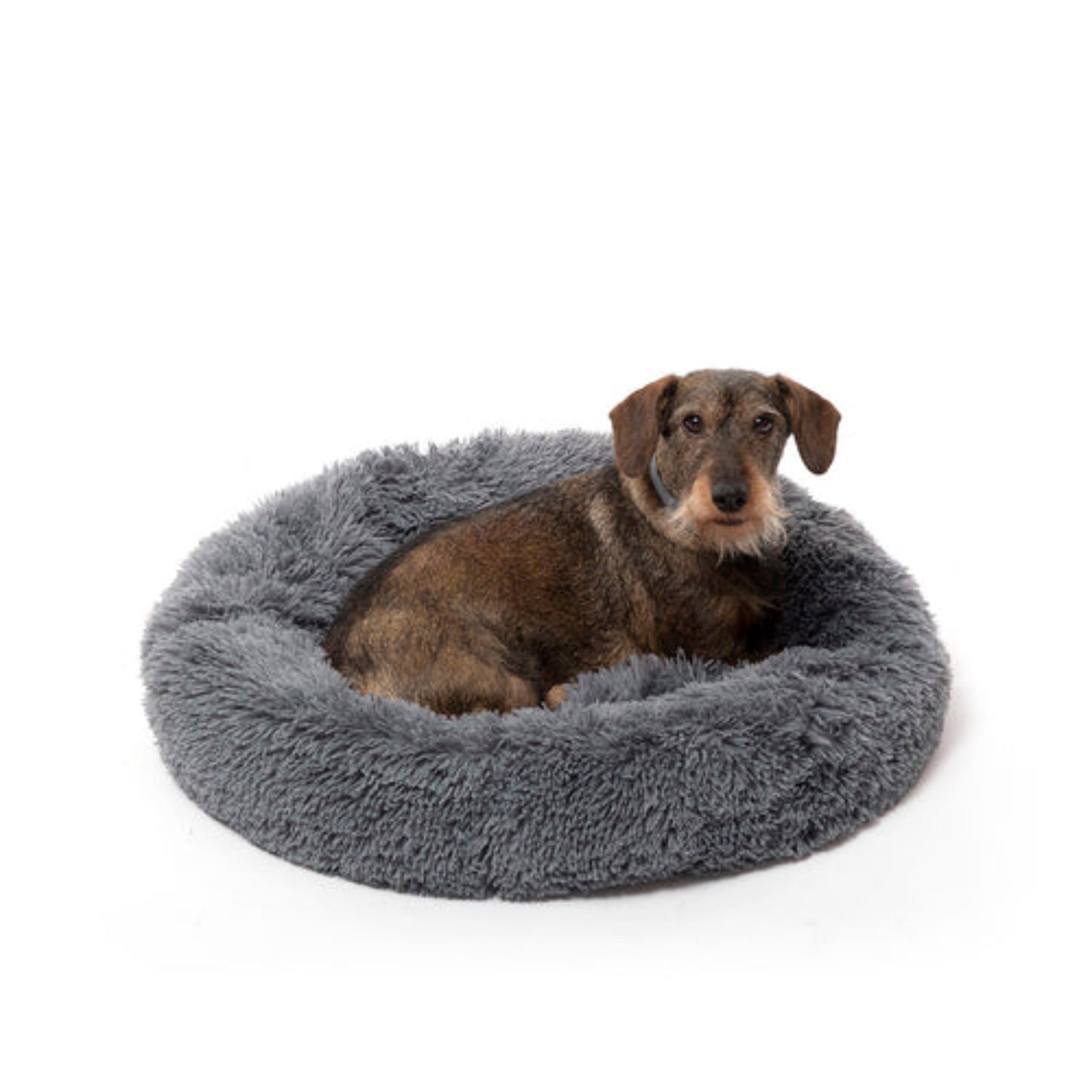 Anti-Stress Hundebett Grau Rund – Dackel ruht im flauschigen Kuschelbett Ø 60 cm | Hund & Heim