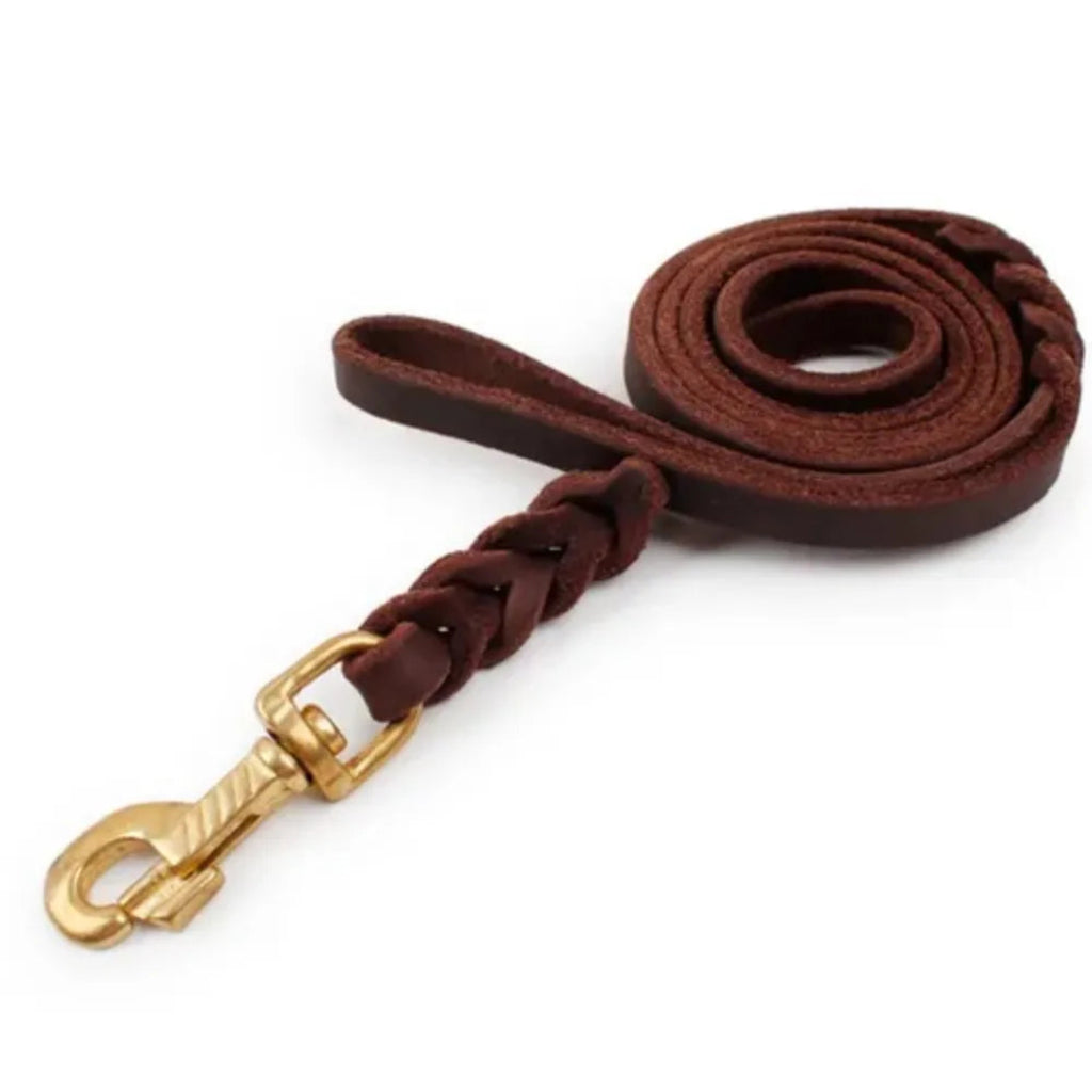 Braune geflochtene Lederleine für Hunde mit stabilem Karabiner und Handschlaufe – hochwertige Premium Hundeleine von Hund & Heim.