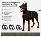 Dobermann trägt ein reflektierendes Hundegeschirr für große Hunde in Bordeauxrot. Das gepolsterte und verstellbare Outdoor Hundegeschirr ist in den Farben Bordeauxrot, Marineblau und Schwarz erhältlich und bietet Komfort sowie Sicherheit beim Spaziergang.