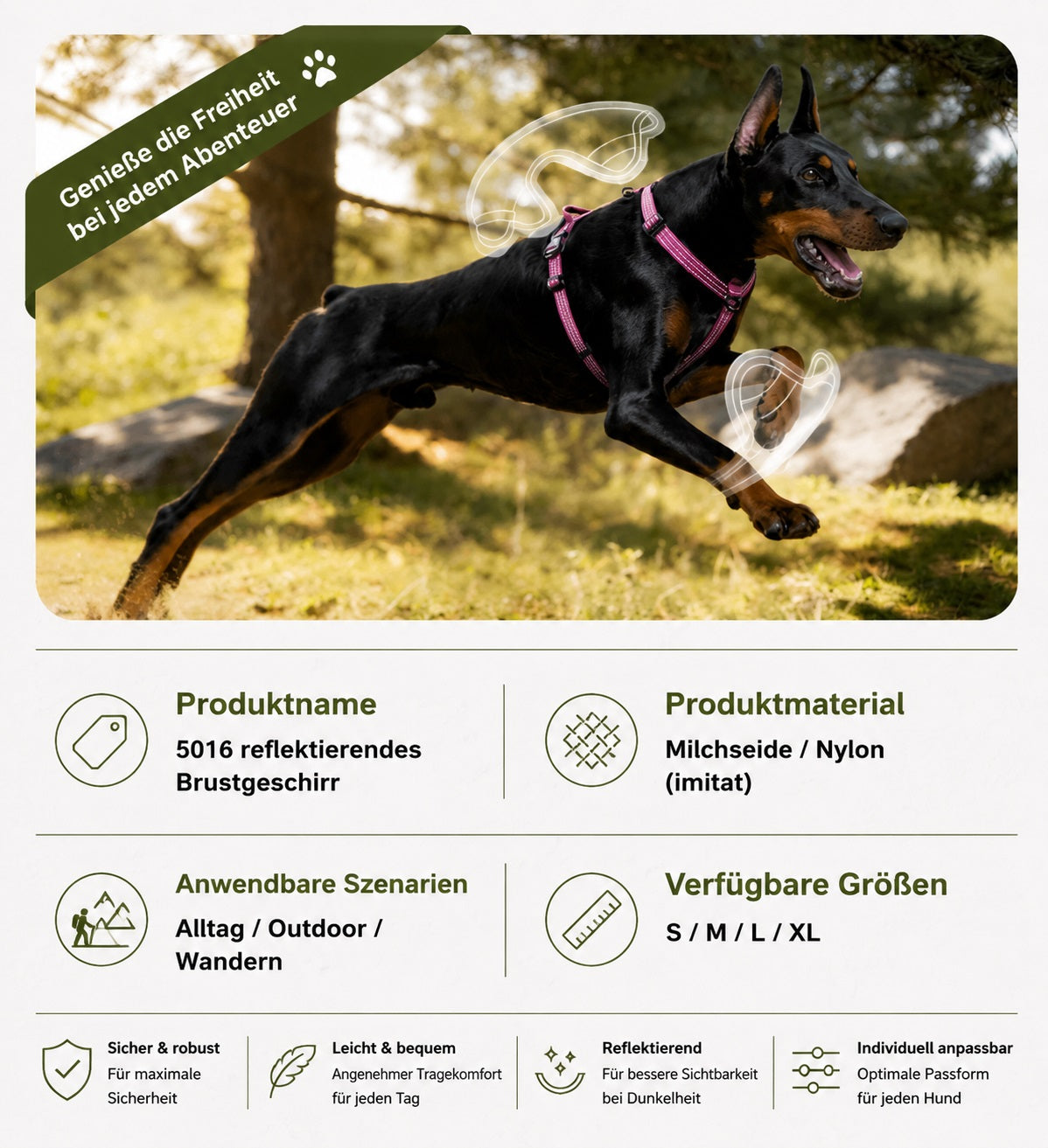 Dobermann läuft im Park mit einem bordeauxroten reflektierenden Hundegeschirr für große Hunde. Das gepolsterte Outdoor Hundegeschirr bietet Bewegungsfreiheit, Komfort und eine sichere Passform für Spaziergänge, Alltag und Wanderungen.