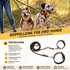 Doppelleine aus echtem Leder für zwei Hunde – robuste Metallkarabiner und komfortables gemeinsames Gassigehen