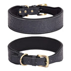 Geprägtes Kunstleder-Halsband in Schwarz mit Goldschnalle – Vorder- und Rückansicht, breites gepolstertes Design | Hund & Heim